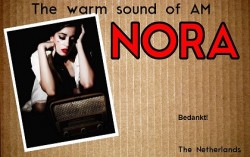 NORA QSL Cardboard _ Klein.jpg